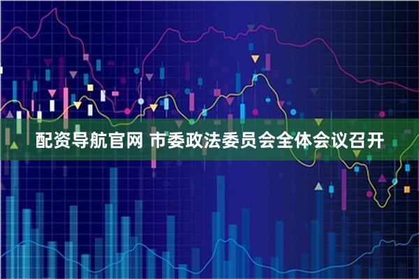 配资导航官网 市委政法委员会全体会议召开